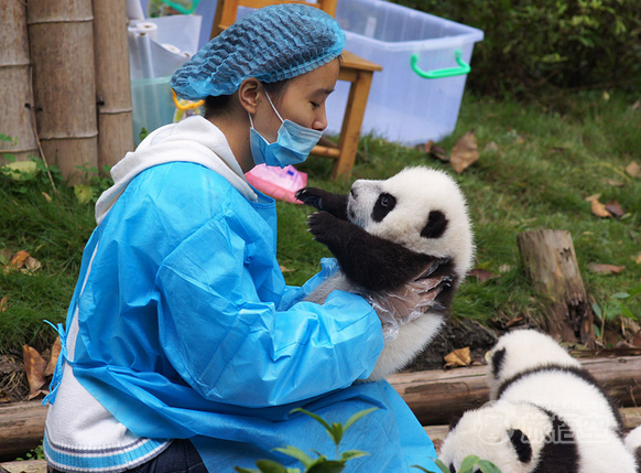 市内１日観光＜昼食付＞