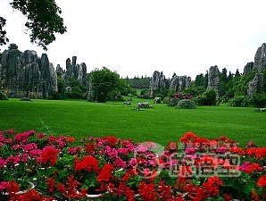 世界遺産 石林 と 西山 龍門 1日 日帰り ツアー